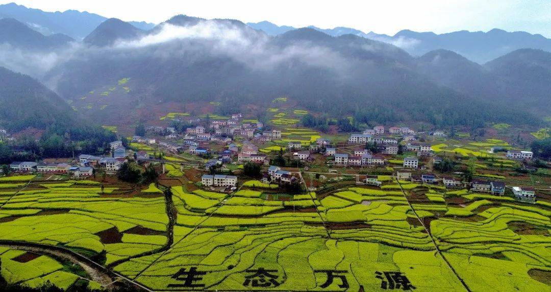 师@江洪平▼万源辣椒图片来源于万源市委宣传部▼创建国家卫生县城