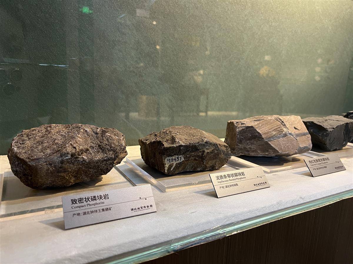 萤石+（假像）石英_Fluorite_国家岩矿化石标本资源共享平台
