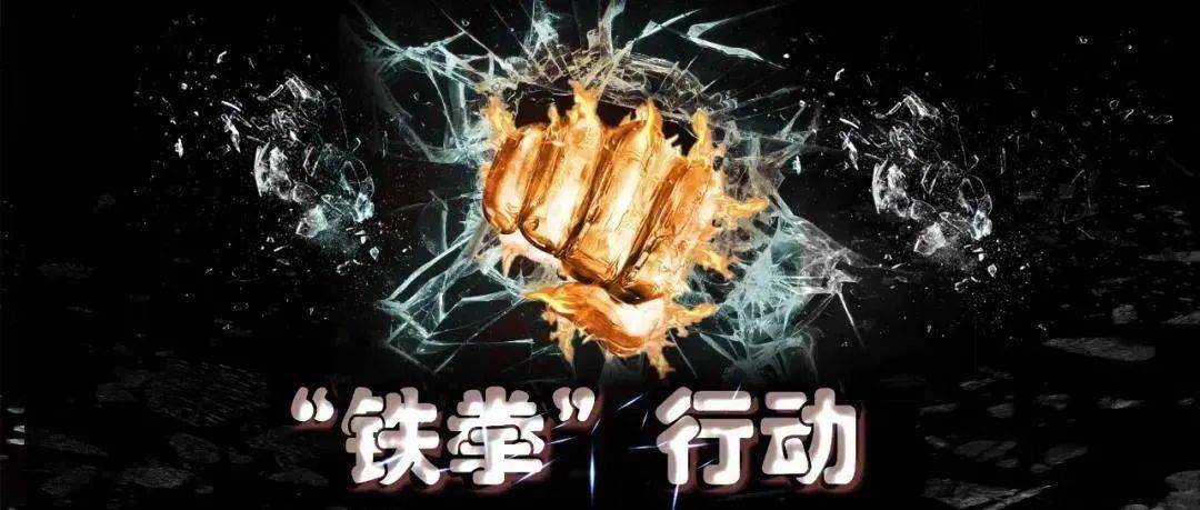 安康2021年铁拳行动十大典型案例发布