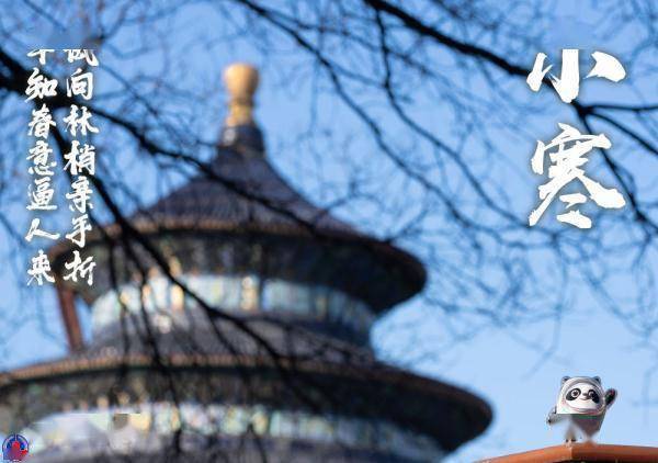 海报|冰墩墩打卡二十四节气·小寒