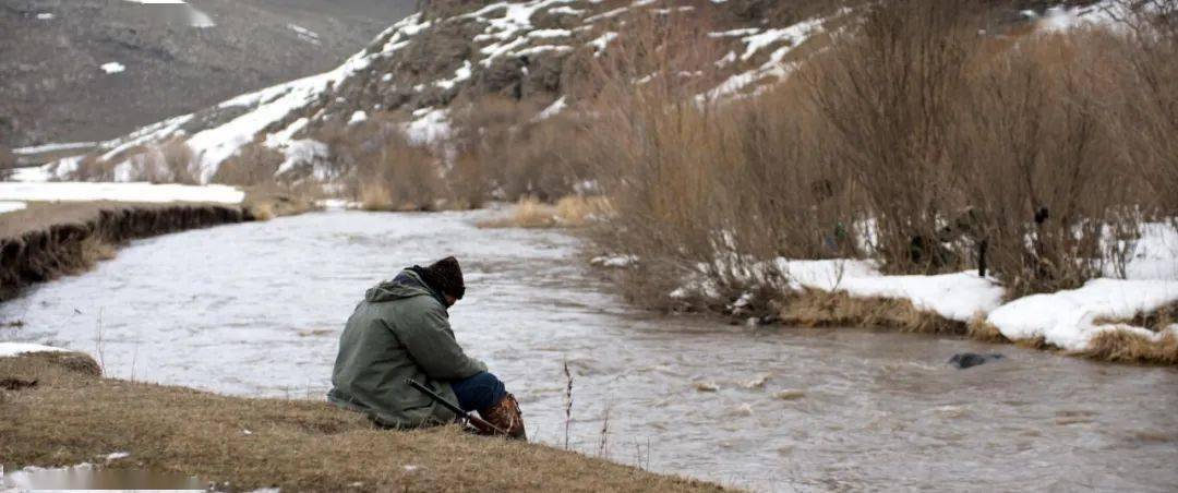 存在主义|谁还记得那个读海德格尔的陈直？