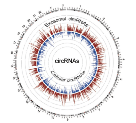 rnf220, regulates cell growth and is associated with relapse