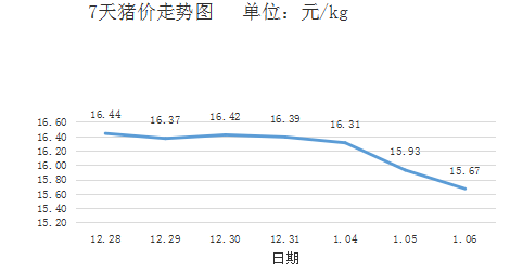 2022年1月6日,據統計全國生豬均價為15.