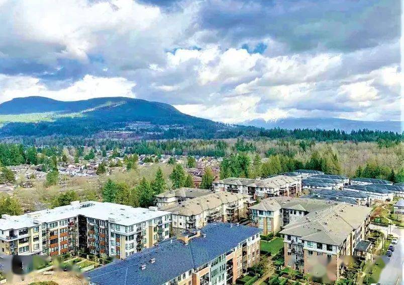 陆平原简历不列颠哥伦比亚省房屋的估值已经公布郊区的房价大幅上涨