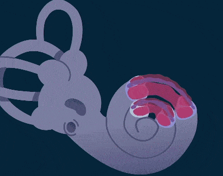 什么样的耳机才能不伤听力?_耳朵_老年人_损失