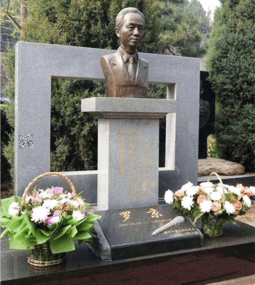 在罗京葬礼上哭到昏厥的妻子7年后改嫁富商如今生活怎样了