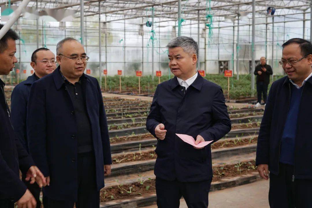 要闻丨陈跃文在汝城调研强调 发挥政协职能作用 全力服务郴州高质量