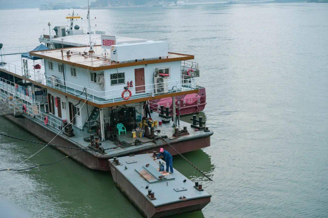 不用人挤人10块钱坐船打卡重庆地标还能追红嘴鸥