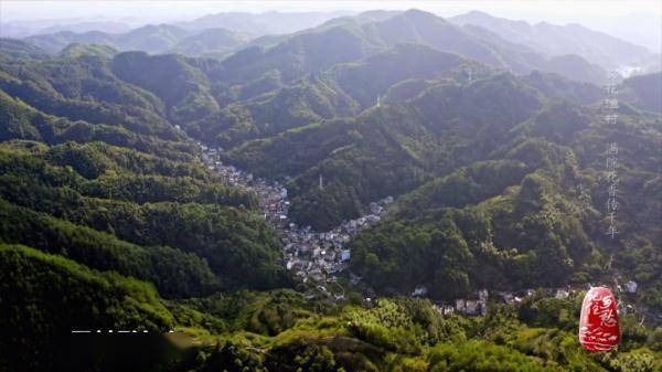 盆景|这里没有鱼，却被叫“渔村”？