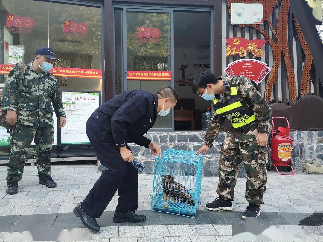 急救中心救护员 ed65518af7f845b38ee17590957768da.jpeg