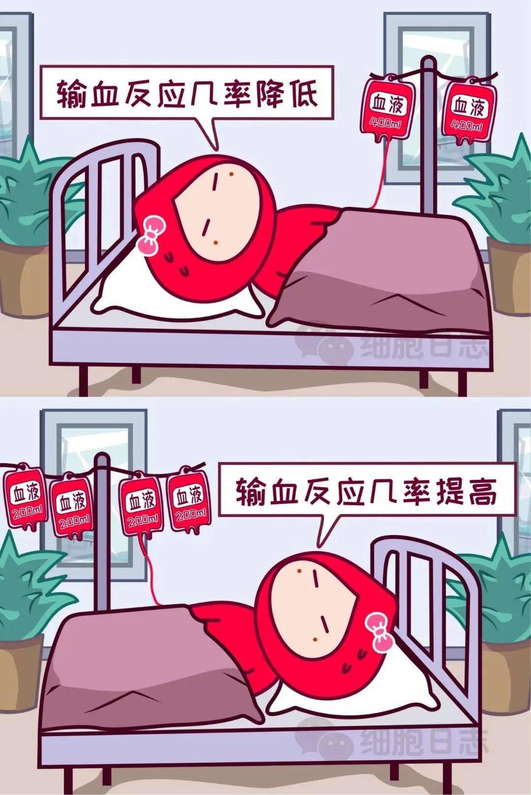2d75f4f561e64b279d3144a4f1999c29.jpeg