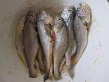 什么叫三黄鱼 914dbe8dc9fc49ca8f015f6358c96f6d.jpeg