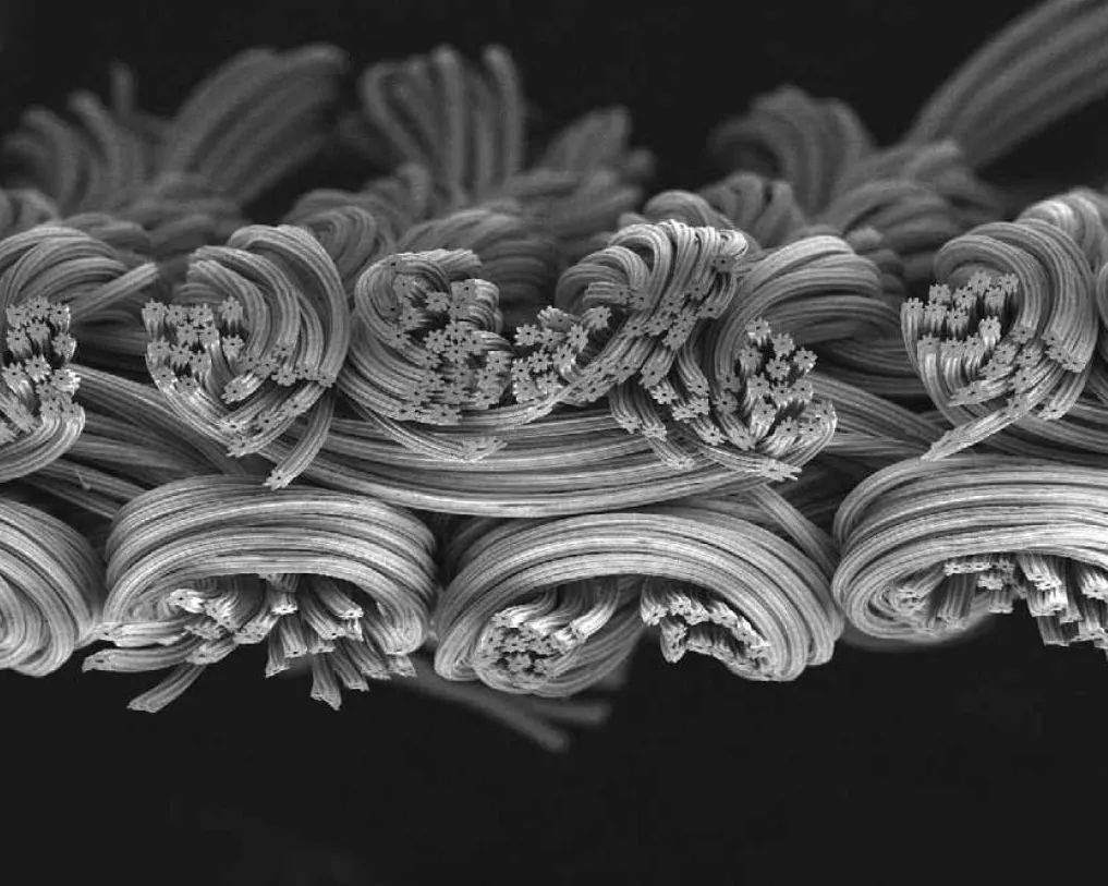 你最喜欢的高科技保暖面料是什么?_image_合成纤维_填充物