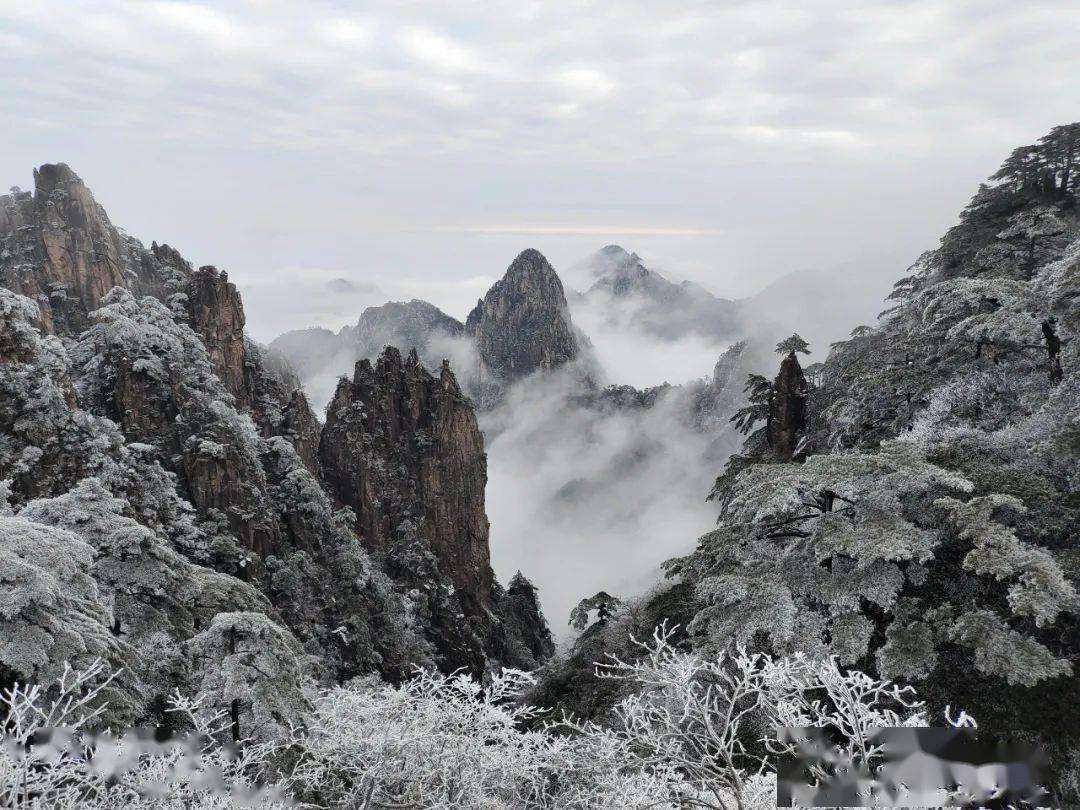 黃山風景區迎來2022年首場降雪_雲海_遊人_山巔