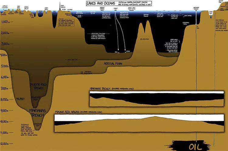一张海沟插画告诉你海洋到底有多深,让你看到人类有多无知