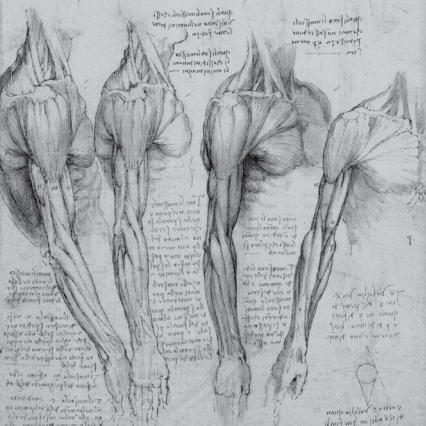 佛罗伦萨|《莱奥纳尔多·达·芬奇》：艺术大师的传奇一生