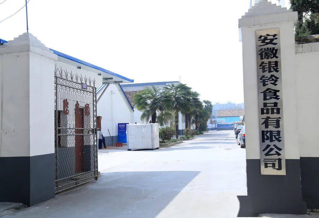 临泉银铃汽水招商了