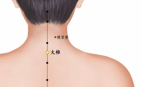 艾灸督脈通三關,緩解後背痠痛!_陽氣_背部_五臟六腑