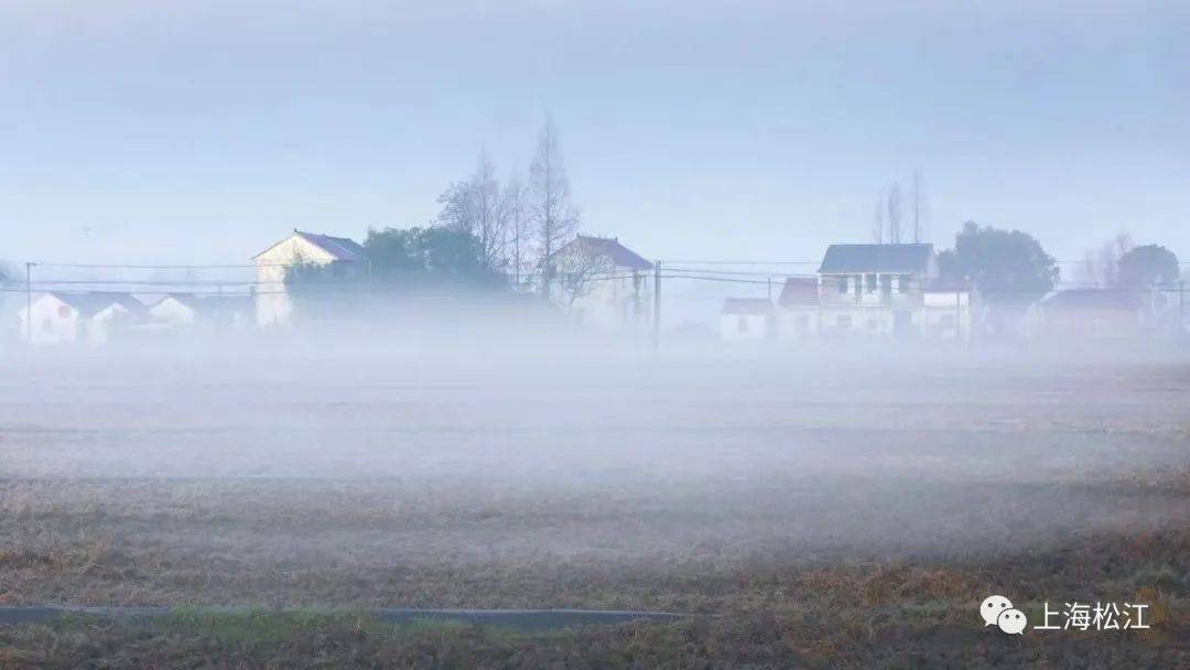 都说佘山的雾迷人，同在松江的天马山表示不服气
