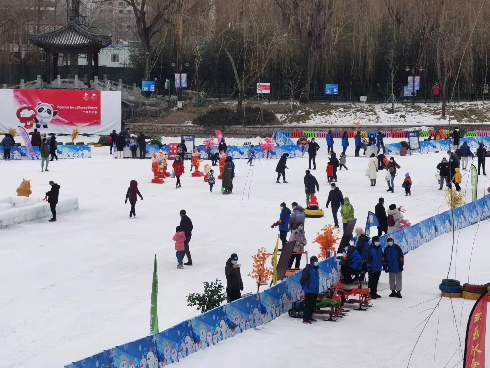 乐园|仿佛置身童话乐园！孩子们紫竹院公园尽享冰雪乐趣