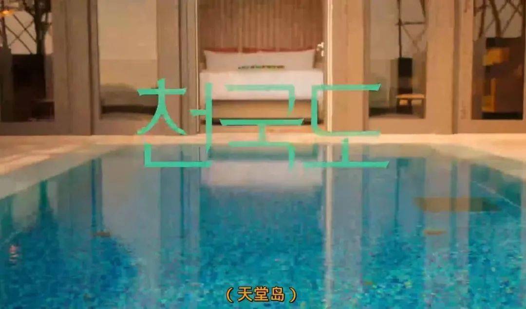 规则|恋综修罗场,好精彩!