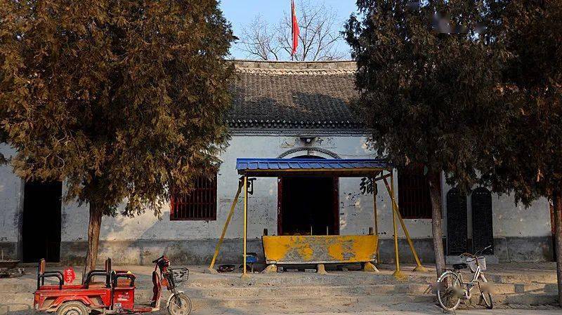 淮阳四通镇境内有座古寺古寺内有两棵奇特的古树