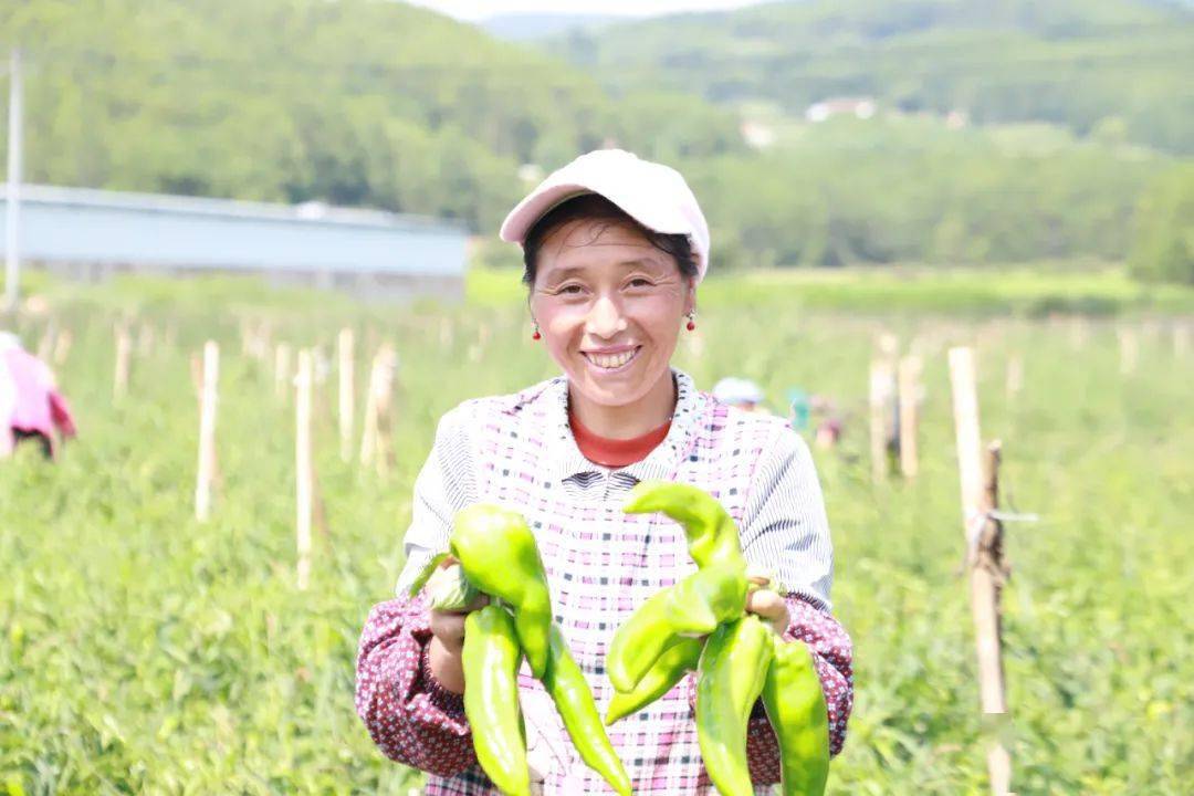 巧家老店镇硕果映初心奋楫十四五
