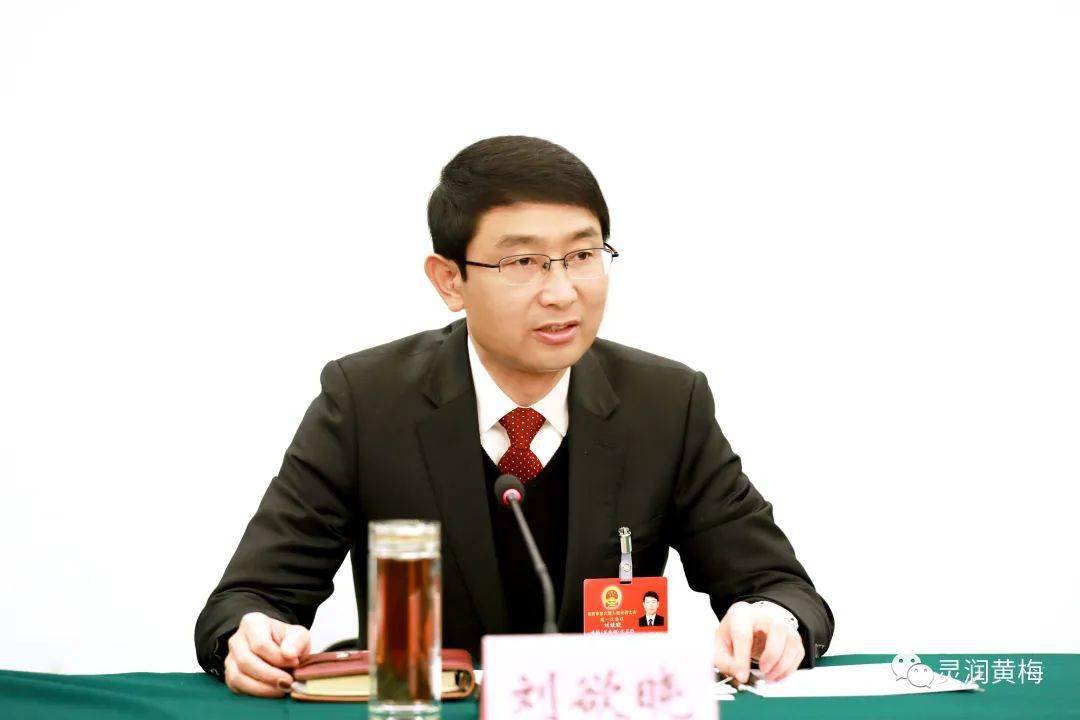 1月6日,黄冈市人大代表,黄梅县委书记刘欲晓在审议《政府工作报告》