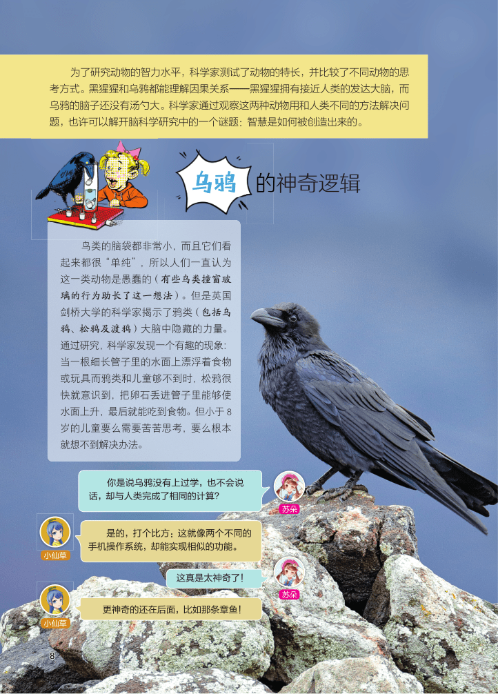 期刊|【期刊】培养“理科”兴趣，为孩子打开认识“科学”的一道大门