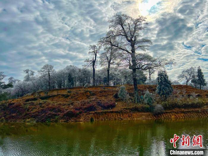 杆洞乡|广西北部深山出现一片彩色雪原