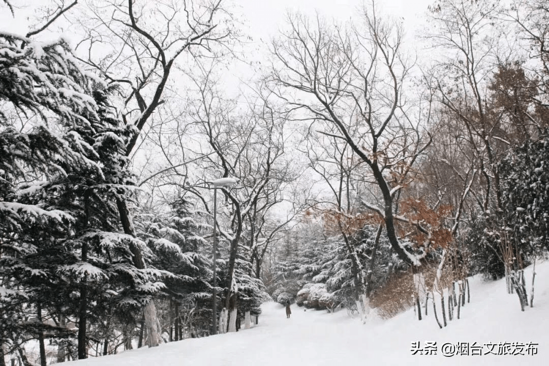 世外桃源|一场冬雪后，昆嵛山竟变成这样……