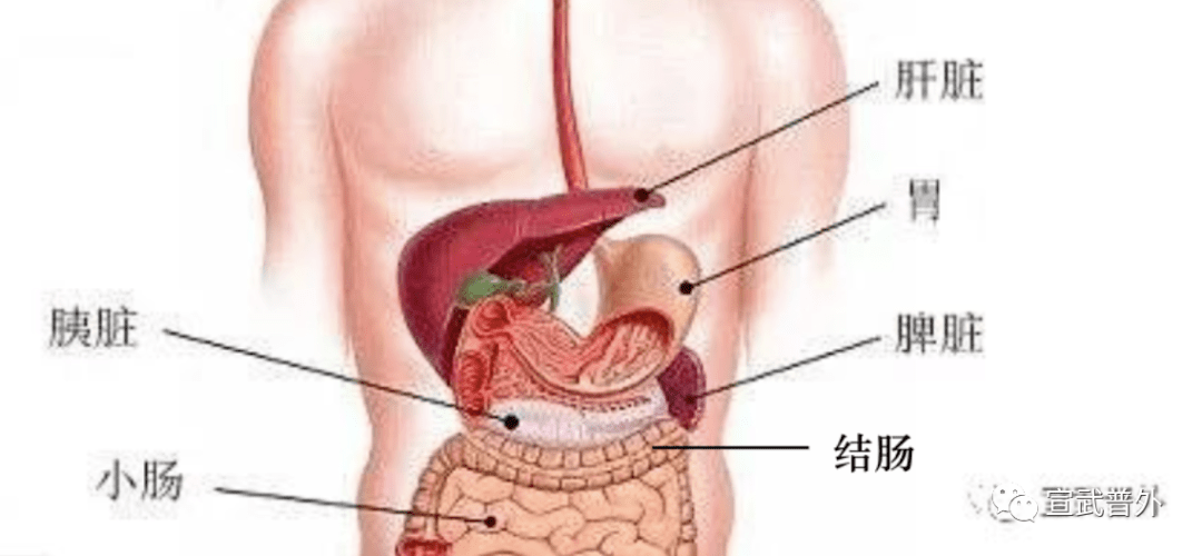 那些与脾切除有关的事