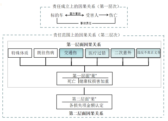 交通事故人身损害赔偿责任因果关系论述_理赔_受害人_过错