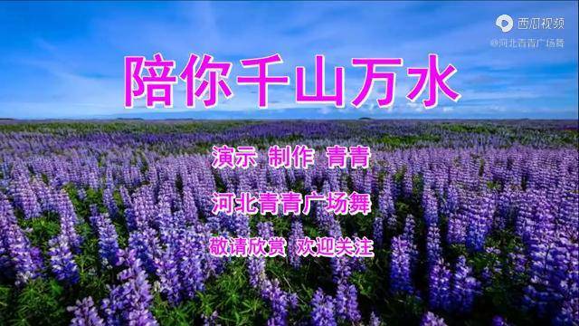 扇子舞陪你千山万水甜蜜潇洒32步动感优美