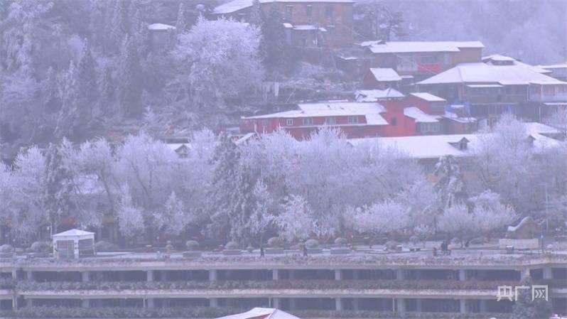 庐山|冬日美景|庐山雪景旖旎迎客来