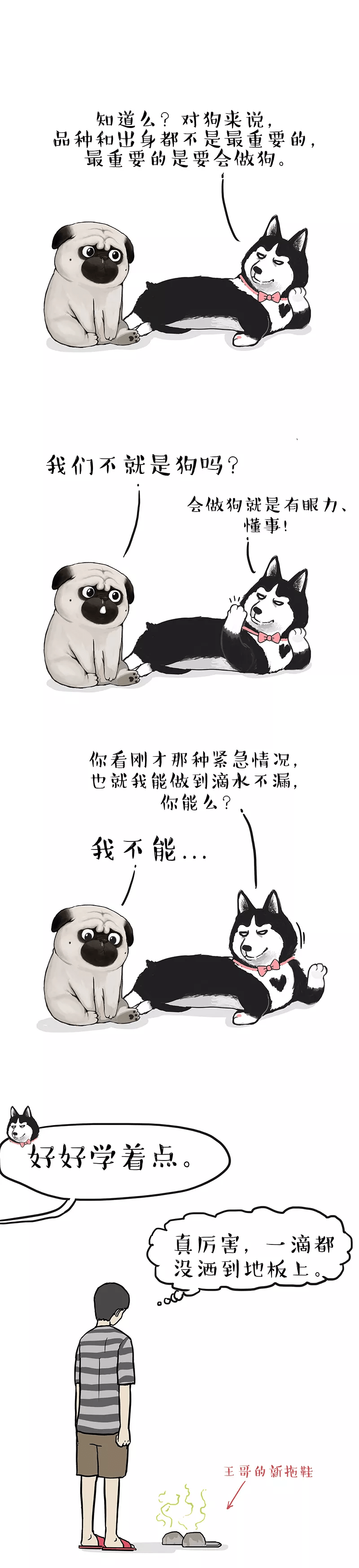 条鱼|今天这条鱼，生前是个狠角色(漫画)