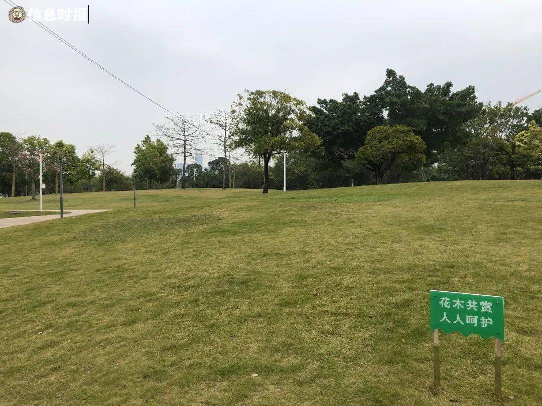 廣州會展公園裡的草坪開放為帳篷搭建區域.