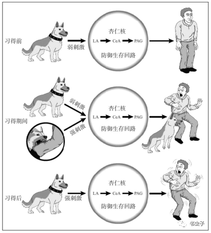 395046e870104001866306e5bb048b1d.png