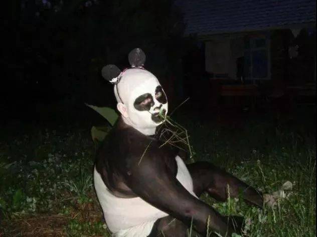 印度为了得到熊猫生产了属于自己的大熊猫让人笑掉大牙