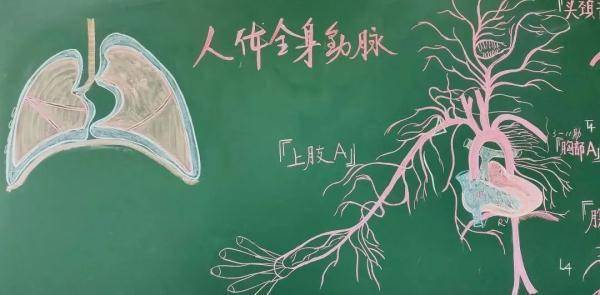 解剖图|绝了！浙江一大学老师手绘的人体解剖图如艺术品