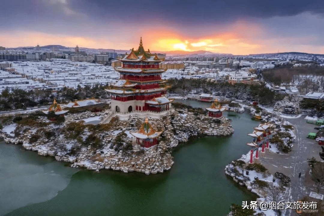 海鸥|海鸥、大海，来一场浪漫的邂逅吧！一起走进仙境蓬莱贺年会——滨海鸥遇蓝色游?