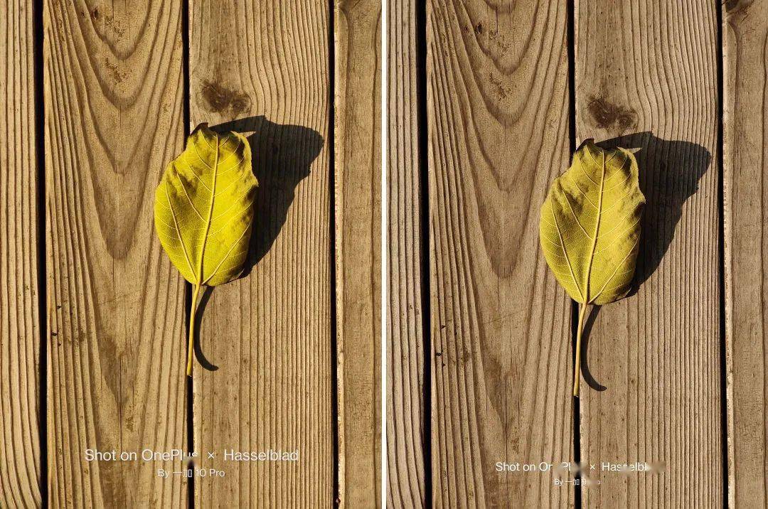 一加 10 Pro 测评：第二代哈苏影像挺强，但不是重点