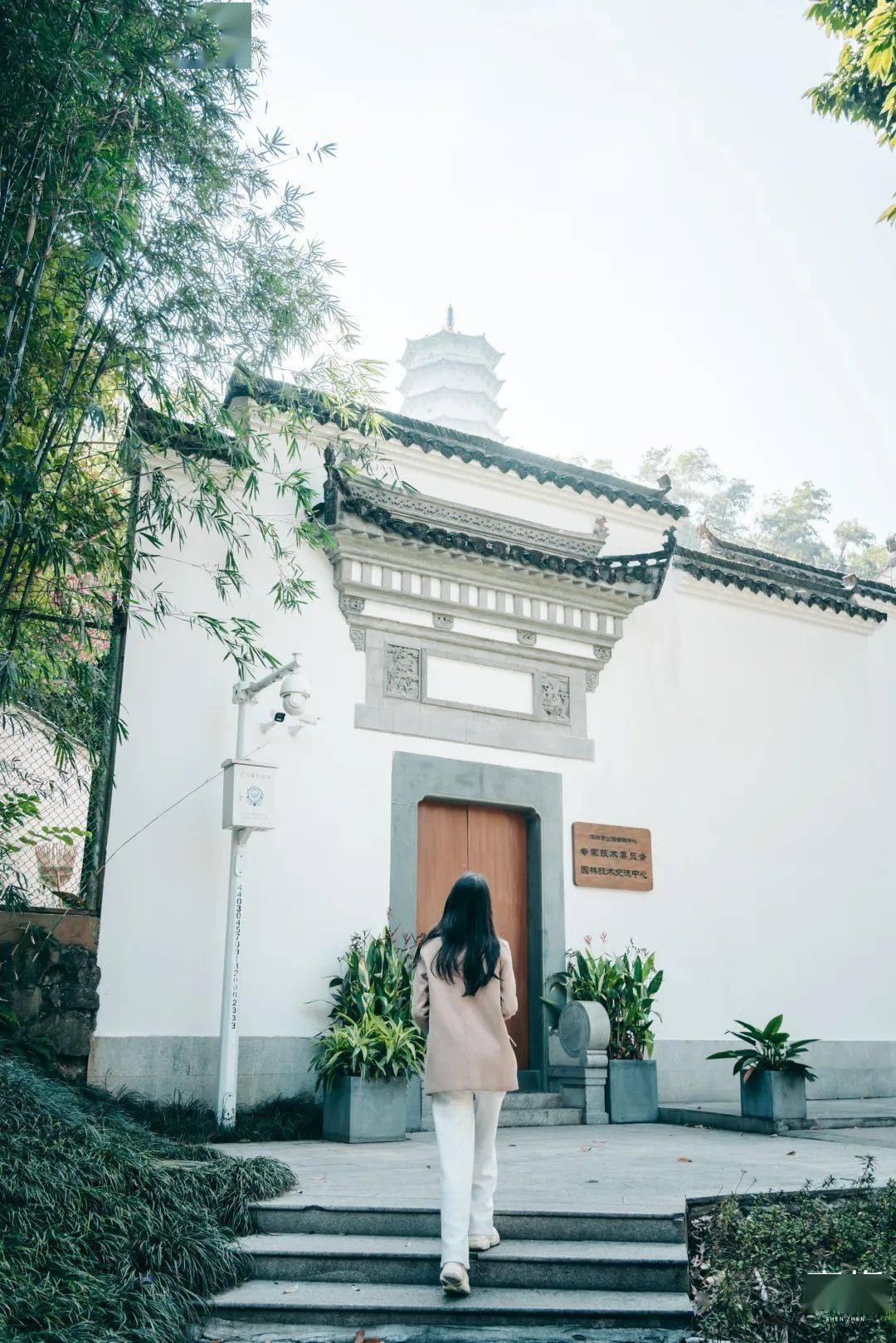 660000㎡苏州园林,101个世界景观……就在深圳!_建筑_南苑_南园