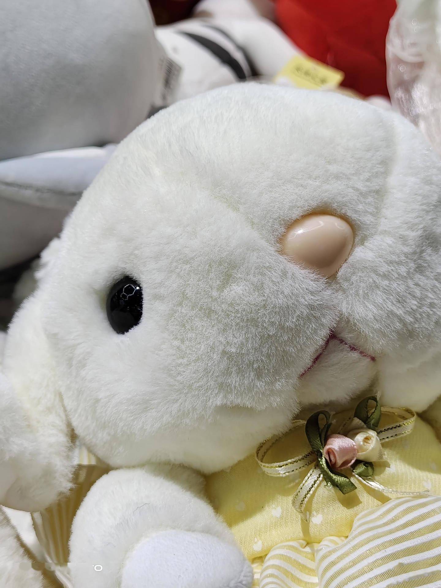 iQOO9 Pro 影像体验：首发三星 GN5，定格精彩瞬间