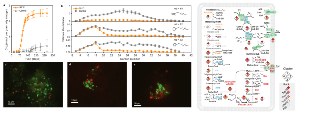 孙悟空！登上 Nature ！