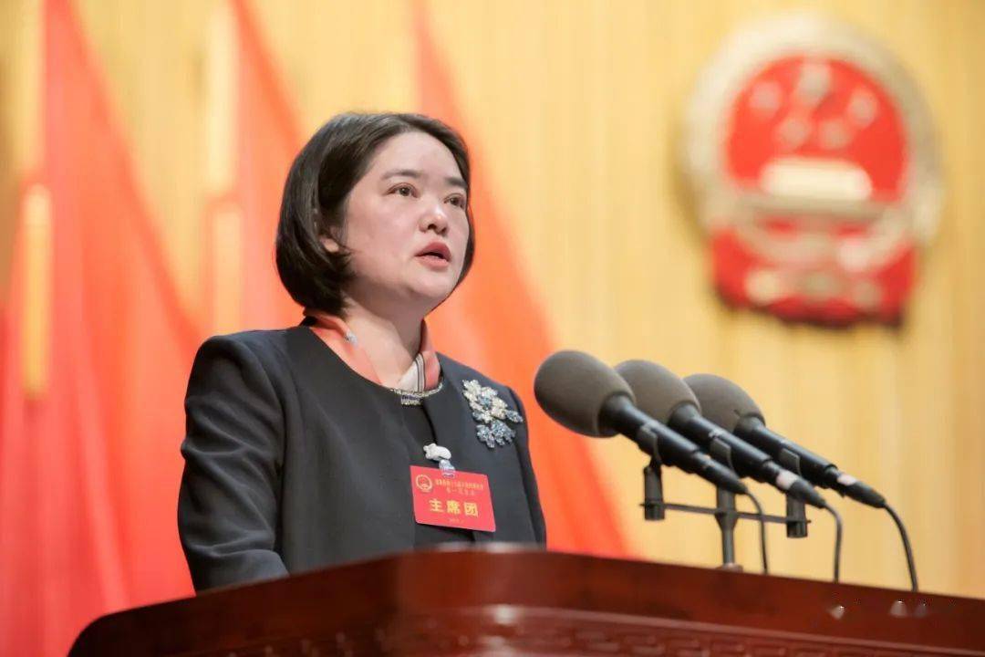 人代会|县第十九届人民代表大会第一次会议胜利召开_发展_建湖_陈霞