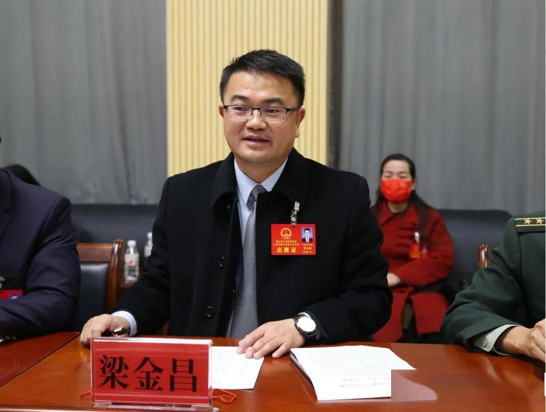 梁金昌参加江南街道代表团讨论时讲话在江南街道代表团