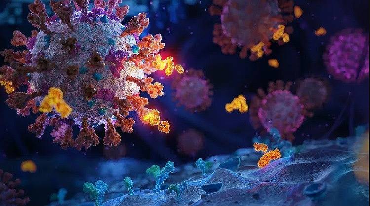 又一款口服抗新冠病毒药物即将启动临床试验