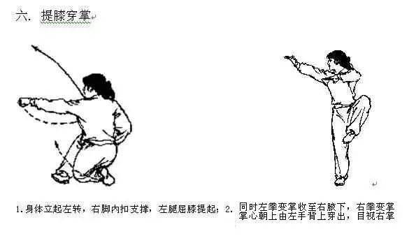 武术基础拳法五步拳初学必练