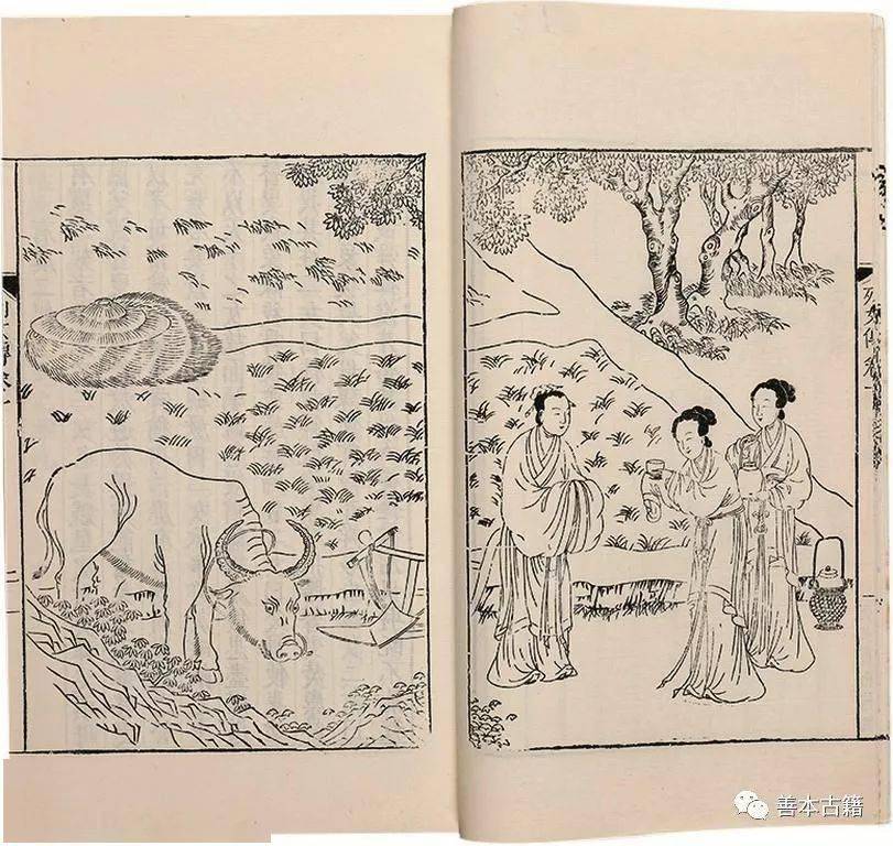 浅探《列女传》的版本源流_刘向_苏颂_王回
